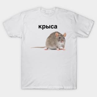 Крыса rat meme russian tee T-Shirt